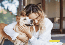 How to Make a Pet Insurance Policy Claim: 5 Essential Tips” How to Make a Pet Insurance Policy Claim: 5 Essential Tips”