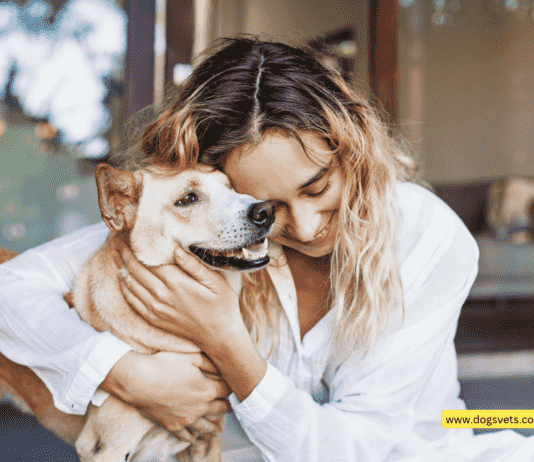 How to Make a Pet Insurance Policy Claim: 5 Essential Tips” How to Make a Pet Insurance Policy Claim: 5 Essential Tips”