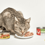 Evanger’s Cat Cuisine: Premium Feline Delights Evanger's Cat Cuisine: Premium Feline Delights