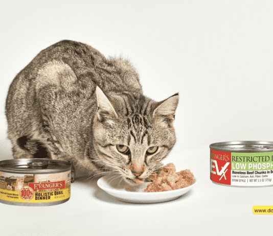 Evanger’s Cat Cuisine: Premium Feline Delights Evanger's Cat Cuisine: Premium Feline Delights