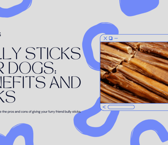 Are Bully Sticks Good for Dogs? A Vet’s Perspective Are Bully Sticks Good for Dogs? A Vet's Perspective