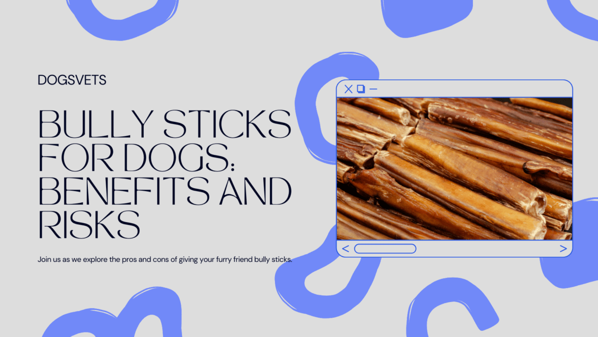 Are Bully Sticks Good for Dogs? A Vet's Perspective
