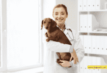 From Equine to Bovine: The Range of Services at A Full Service Vet Clinic for Large Animals From Equine to Bovine: The Range of Services at A Full Service Vet Clinic for Large Animals