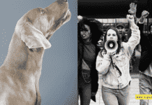 The Evolution of Animal Rights: South Korea’s Journey Towards Banning Dog Meat The Evolution of Animal Rights: South Korea's Journey Towards Banning Dog Meat