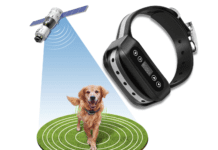 Germany’s Embrace of GPS Technology for Dog Safety Germany's Embrace of GPS Technology for Dog Safety