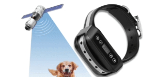 Germany’s Embrace of GPS Technology for Dog Safety Germany's Embrace of GPS Technology for Dog Safety