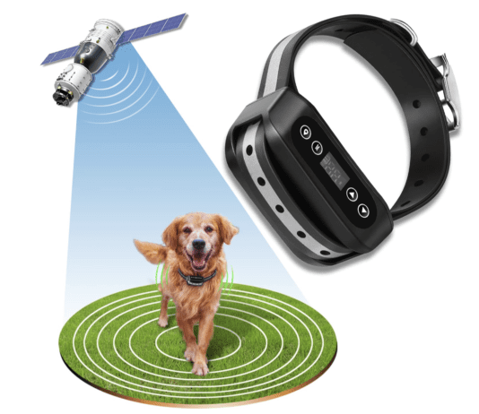 Germany’s Embrace of GPS Technology for Dog Safety Germany's Embrace of GPS Technology for Dog Safety