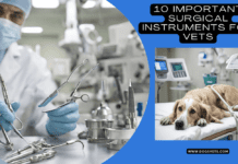10 Important Surgical Instruments For Vets 10 Important Surgical Instruments For Vets
