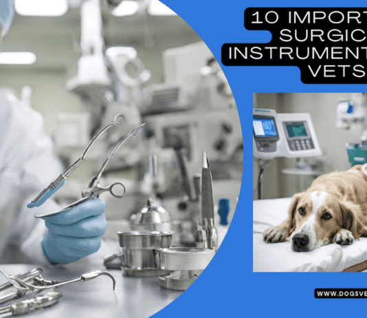 10 Important Surgical Instruments For Vets 10 Important Surgical Instruments For Vets