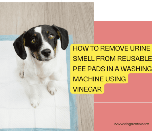 How to Remove Urine Smell from Reusable Pee Pads in a Washing Machine Using Vinegar How to Remove Urine Smell from Reusable Pee Pads in a Washing Machine Using Vinegar