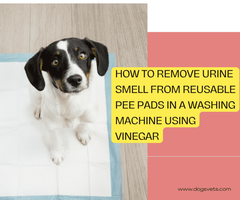 How to Remove Urine Smell from Reusable Pee Pads in a Washing Machine Using Vinegar