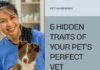 Veterinarian Whisperer: Unmasking the 5 Hidden Traits of Your Pet’s Perfect Vet Veterinarian Whisperer: Unmasking the 5 Hidden Traits of Your Pet's Perfect Vet