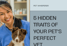 Veterinarian Whisperer: Unmasking the 5 Hidden Traits of Your Pet’s Perfect Vet Veterinarian Whisperer: Unmasking the 5 Hidden Traits of Your Pet's Perfect Vet