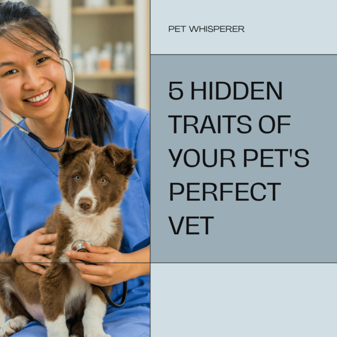 Veterinarian Whisperer: Unmasking the 5 Hidden Traits of Your Pet's Perfect Vet