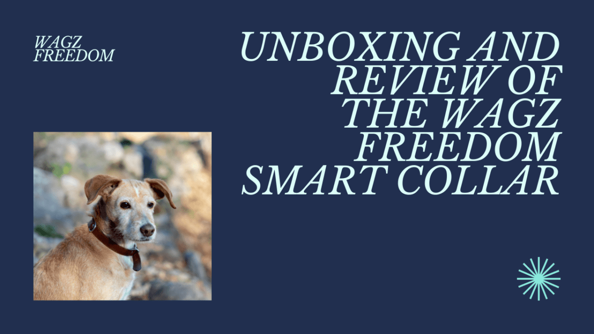 Is Wagz Freedom the Top Dog? Our Smart Collar Review Unveils the Truth