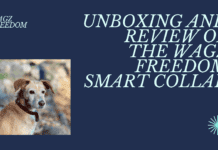 Is Wagz Freedom the Top Dog? Our Smart Collar Review Unveils the Truth wags