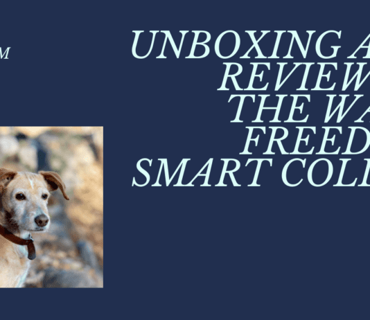 Is Wagz Freedom the Top Dog? Our Smart Collar Review Unveils the Truth wags