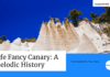 Fife Fancy Canary: A History of Elegance and Melody (From Scotland to Your Home) Fife Fancy Canary: A History of Elegance and Melody (From Scotland to Your Home)