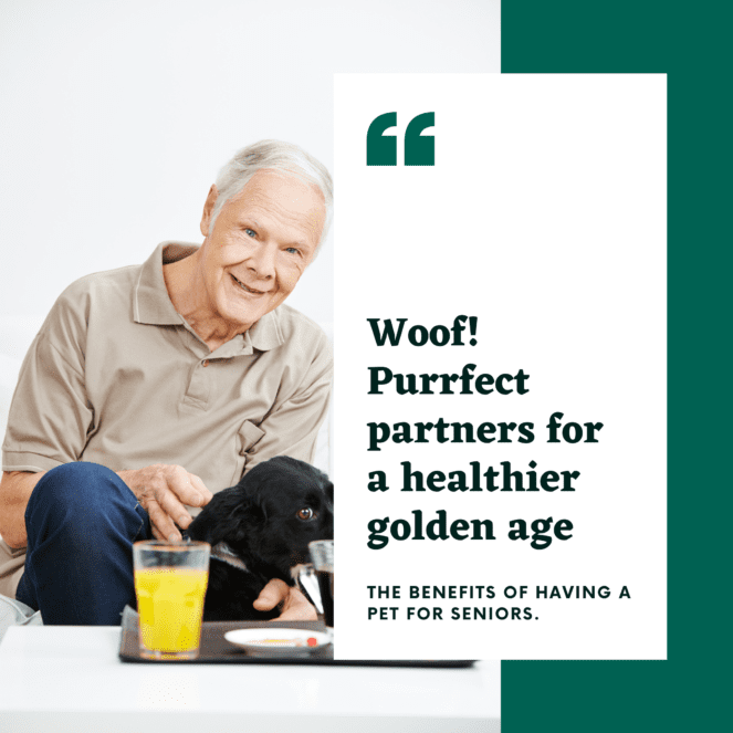 Pets & Seniors: Woof! Purrfect Partners for a Healthier Golden Age