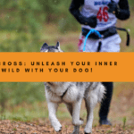 Canicross: Unleash Your Inner Wild (and Your Dog's Too!)