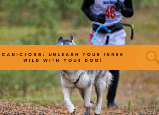 Canicross: Unleash Your Inner Wild (and Your Dog’s Too!) Canicross: Unleash Your Inner Wild (and Your Dog's Too!)