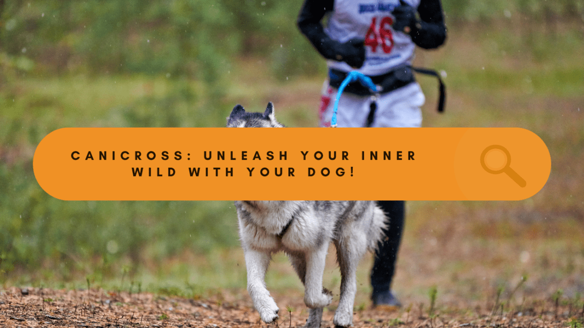 Canicross: Unleash Your Inner Wild (and Your Dog's Too!)