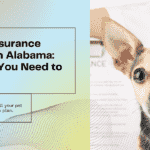 Pet Insurance Cost in Alabama: What You Need to Know Before You Enroll