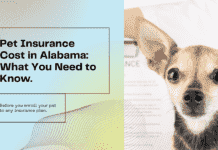 Pet Insurance Cost in Alabama: What You Need to Know Before You Enroll Pet Insurance Cost in Alabama: What You Need to Know Before You Enroll