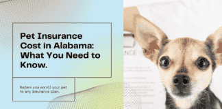 Pet Insurance Cost in Alabama: What You Need to Know Before You Enroll Pet Insurance Cost in Alabama: What You Need to Know Before You Enroll