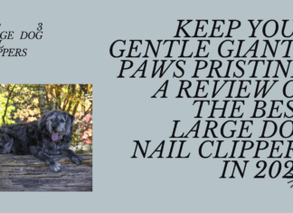 The Top 3 Large Dog Nail Clippers in 2024: Keeping Your Gentle Giant’s Paws Pristine (Without the Drama) The Top 3 Large Dog Nail Clippers in 2024: Keeping Your Gentle Giant's Paws Pristine (Without the Drama)