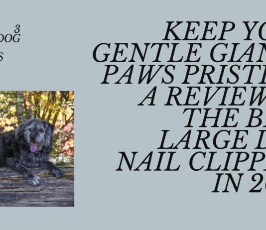 The Top 3 Large Dog Nail Clippers in 2024: Keeping Your Gentle Giant’s Paws Pristine (Without the Drama) The Top 3 Large Dog Nail Clippers in 2024: Keeping Your Gentle Giant's Paws Pristine (Without the Drama)