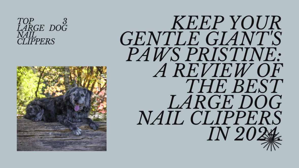 The Top 3 Large Dog Nail Clippers in 2024: Keeping Your Gentle Giant's Paws Pristine (Without the Drama)
