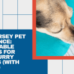 New Jersey Pet Insurance: Affordable Options for Furry Friends (With Prices!)