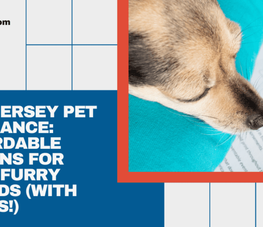 New Jersey Pet Insurance: Affordable Options for Furry Friends (With Prices!) New Jersey Pet Insurance: Affordable Options for Furry Friends (With Prices!)