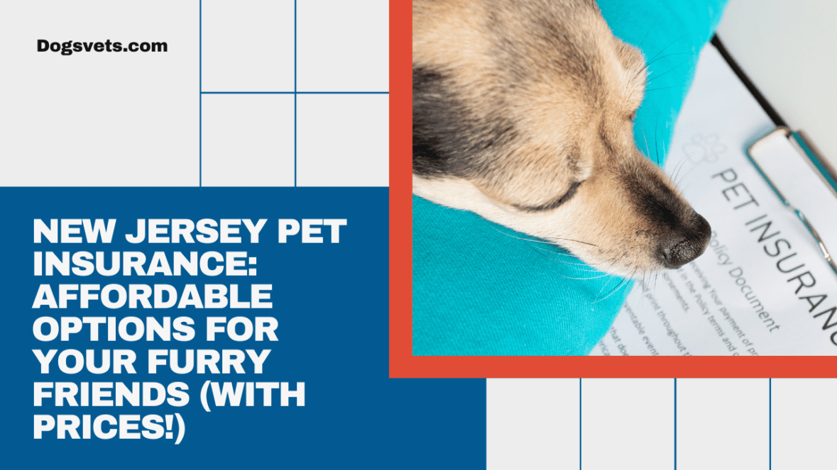 New Jersey Pet Insurance: Affordable Options for Furry Friends (With Prices!)
