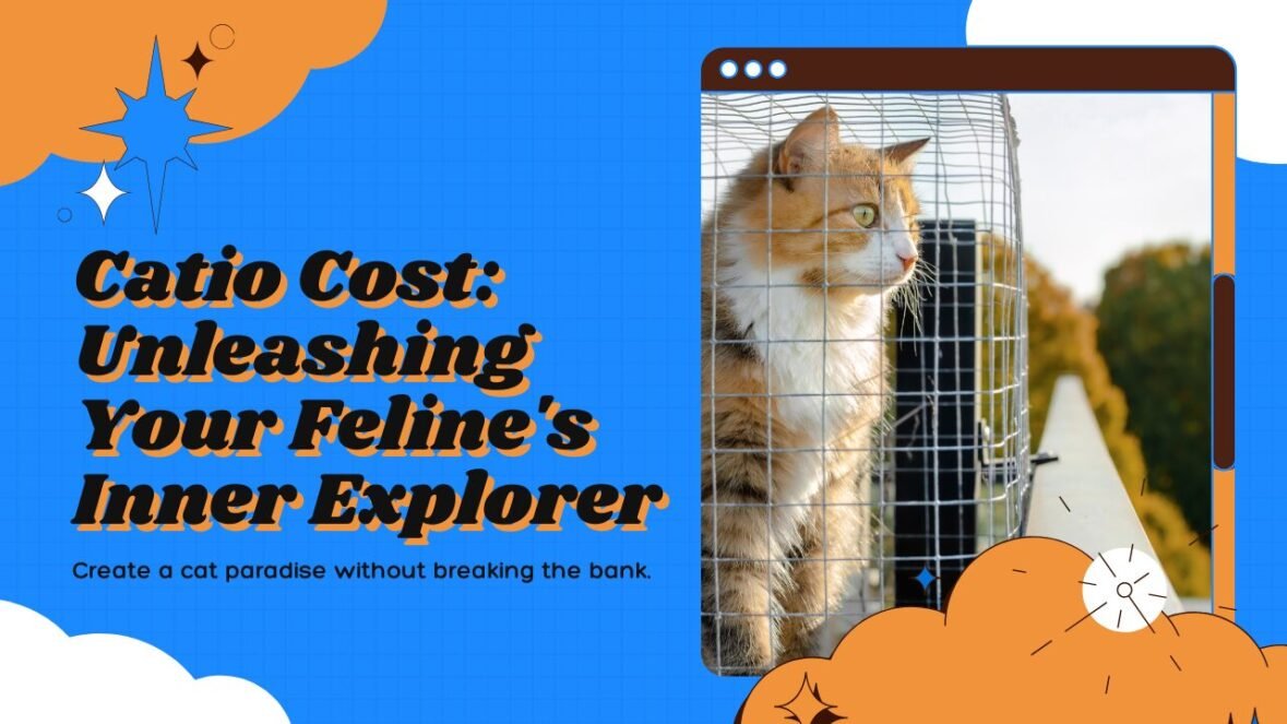 Catio izmaksas: Atbrīvojiet savu kaķu iekšējo pētnieku, nepārkāpjot banku