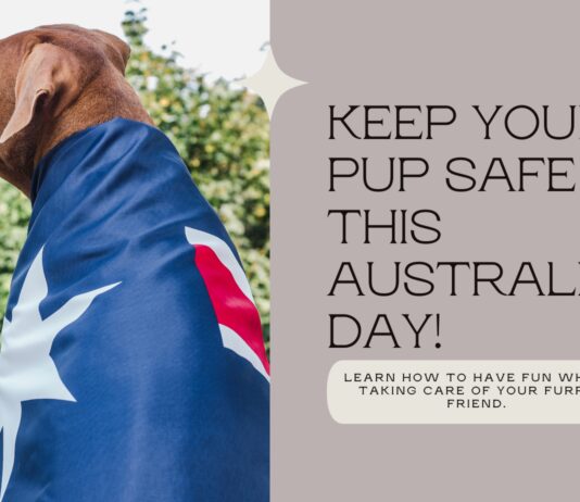Australia Day Fun, Dog-Style: A Guide to Keeping Your Pup Safe This Holiday Australia Day Fun, Dog-Style: A Guide to Keeping Your Pup Safe This Holiday