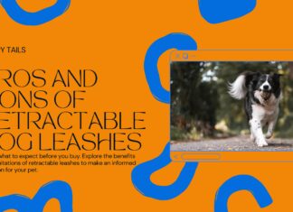 Retractable Dog Leashes: Freedom Unleashed (But Hold Tight to the Pros & Cons) Retractable Dog Leashes: Freedom Unleashed (But Hold Tight to the Pros & Cons)