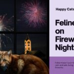 Feline Fine on Fireworks Night: 5 Purr-fect Tips for a Stress-Free New Year's Eve with Your Cat