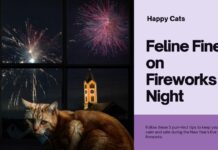 Fireworks Night: 5 Purr-fect Tips for a Stress-Free New Year’s Eve with Your Cat Feline Fine on Fireworks Night: 5 Purr-fect Tips for a Stress-Free New Year's Eve with Your Cat