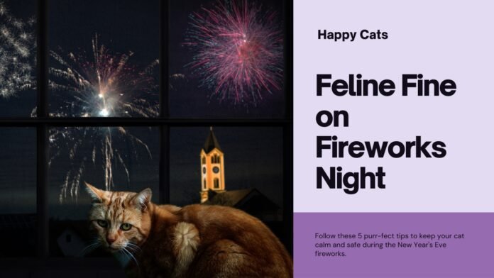 Feline Fine on Fireworks Night: 5 mruczących wskazówek na bezstresowy sylwestrowy wieczór z kotem