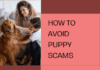 How to Spot a Puppy Scam Online: Protect Yourself and Your Family