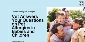 Pet Allergies in Babies and Children: Vet Answers Your Questions Pet Allergies in Babies and Children: Vet Answers Your Questions