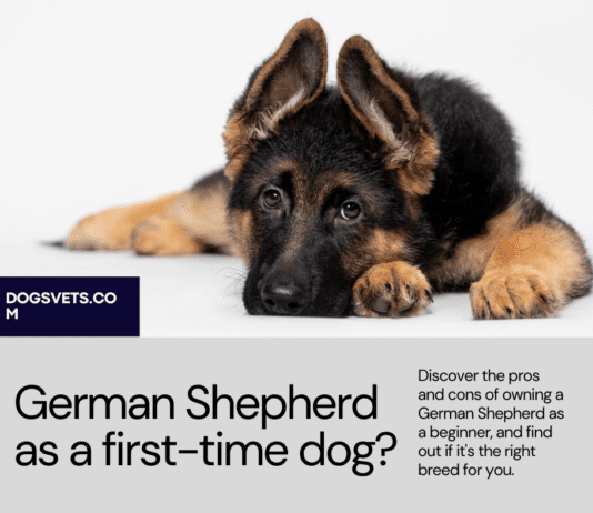 Is German Shepherd Good for First-Time Dog Owners? The Pros and Cons Is German Shepherd Good for First-Time Dog Owners? The Pros and Cons