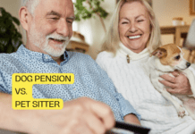 Dog Pension vs. Pet Sitter: A Cost-Benefit Analysis Dog Pension vs. Pet Sitter: A Cost-Benefit Analysis