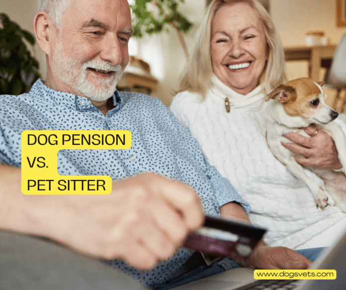 Dog Pension vs. Pet Sitter: A Cost-Benefit Analysis