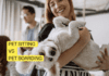 Pet Sitting vs Pet Boarding: Choosing the Best Care for Your Furry Friend