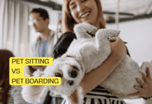 Pet Sitting vs Pet Boarding: Choosing the Best Care for Your Furry Friend Pet Sitting vs Pet Boarding: Choosing the Best Care for Your Furry Friend