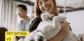 Pet Sitting vs Pet Boarding: Choosing the Best Care for Your Furry Friend Pet Sitting vs Pet Boarding: Choosing the Best Care for Your Furry Friend