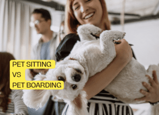 Pet Sitting vs Pet Boarding: Choosing the Best Care for Your Furry Friend